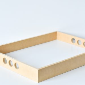 Bandeja SIN PINTAR x10u - Base Blanca - Grande